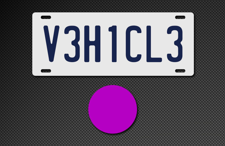 V3H1CL3 Purple